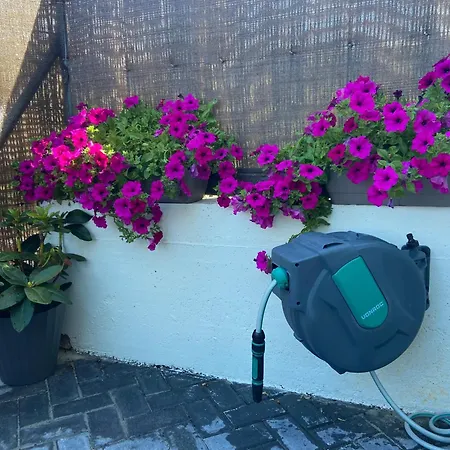 펜션 Casa Entrehorreos *